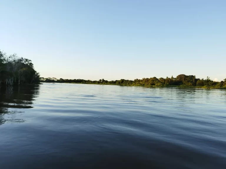 Corpo de homem que desapareceu após barco virar é encontrado em MT