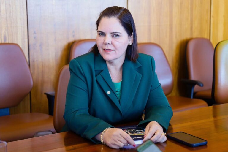 Audiência pública busca alternativas para agilizar a repactuação de dívidas rurais