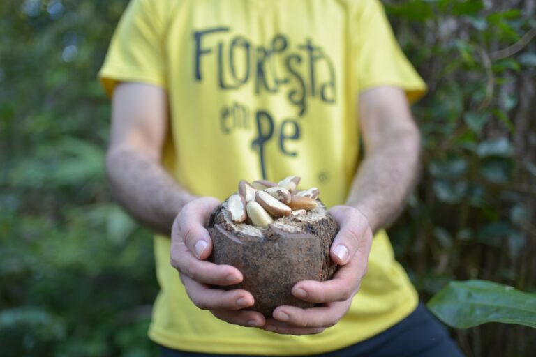 Loja de castanhas do Brasil está entre as melhores na Amazon EUA