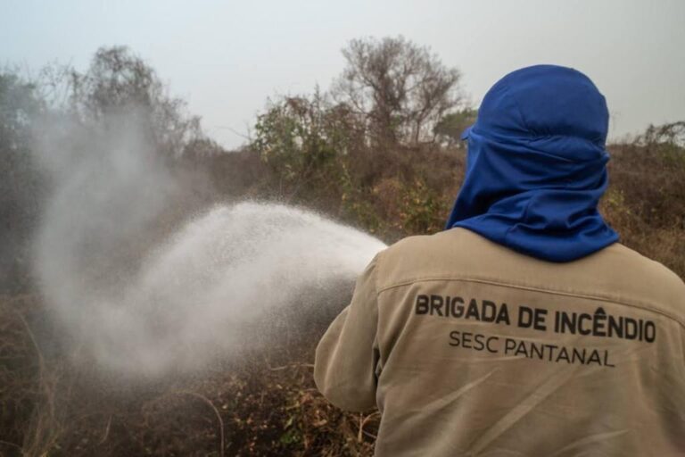Sesc Pantanal abre 24 vagas para brigadistas no Pantanal