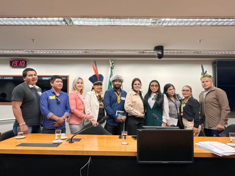 Audiência pública discute relevância do agroindígena para o desenvolvimento do país