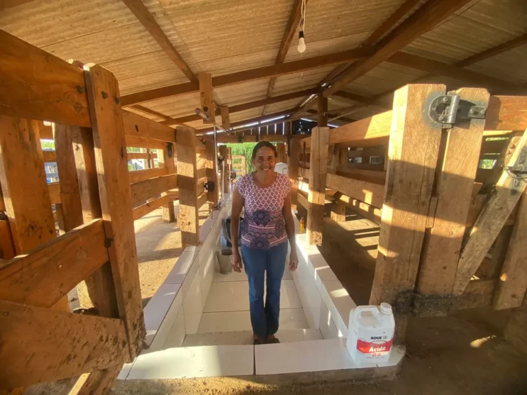 Produtora rural de MT gasta 1h30 com ordenhadeira mecânica após passar mais de 20 anos levando 4h para tirar leite
