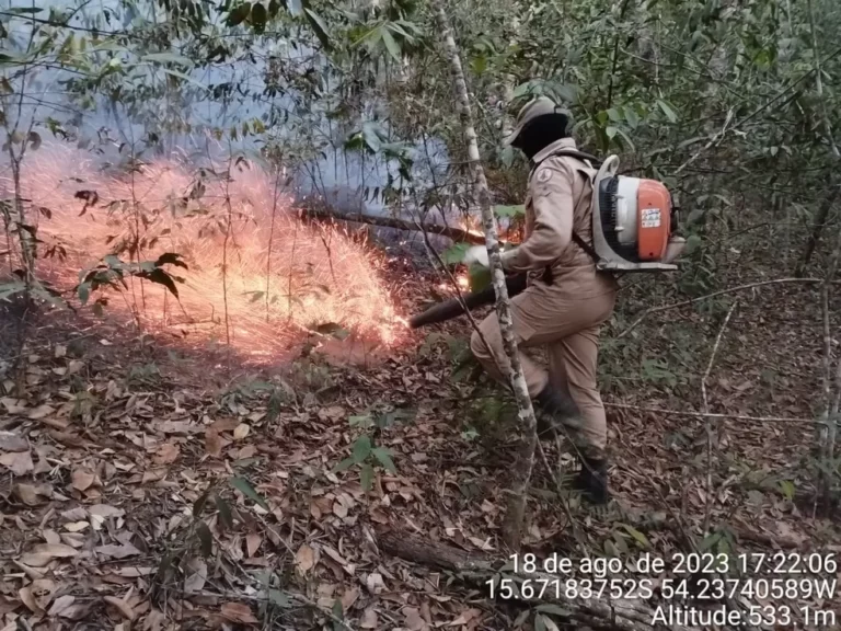 Incêndio atinge Área de Preservação Permanente em Poxoréu (MT) e destrói mais de 200 hectares de vegetação