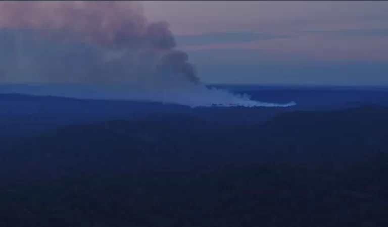 Fogo destrói mais de 40 hectares de floresta no Parque Cristalino II em MT