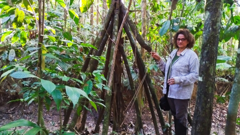 Unemat, UFMT e FEC lançam estudo científico sobre espécies de plantas das RPPNs Cristalino