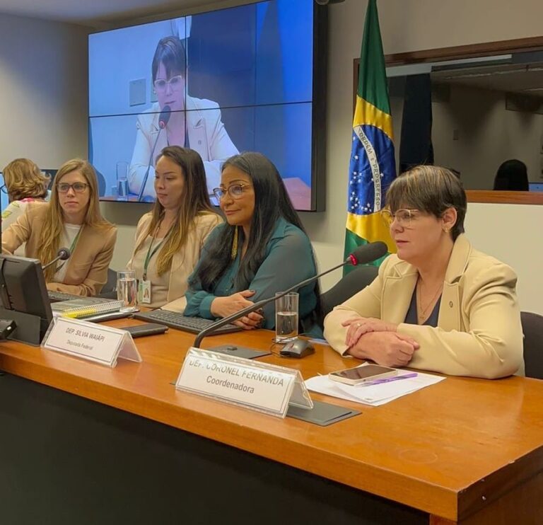 Aprovado por unanimidade relatório da Comissão Externa de Delimitação da Terra Indígena Kapôt Nhinore