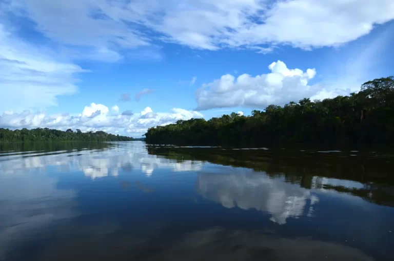Pesca é proibida a partir de segunda-feira (2) em MT; entenda a piracema
