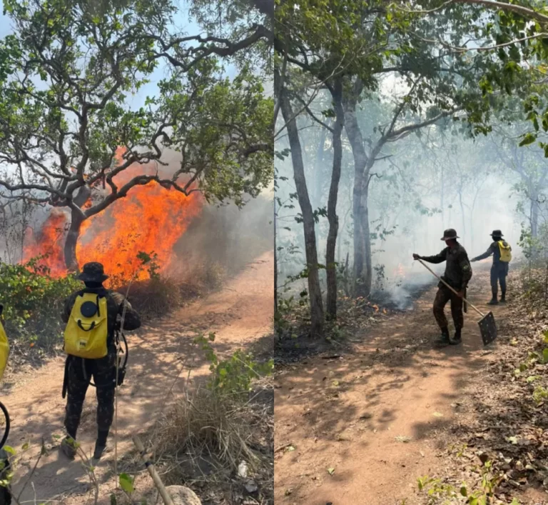 8 indígenas da etnia Chiquitanos foram resgatados e levados para local seguro após incêndio em fronteira entre MT e Bolívia