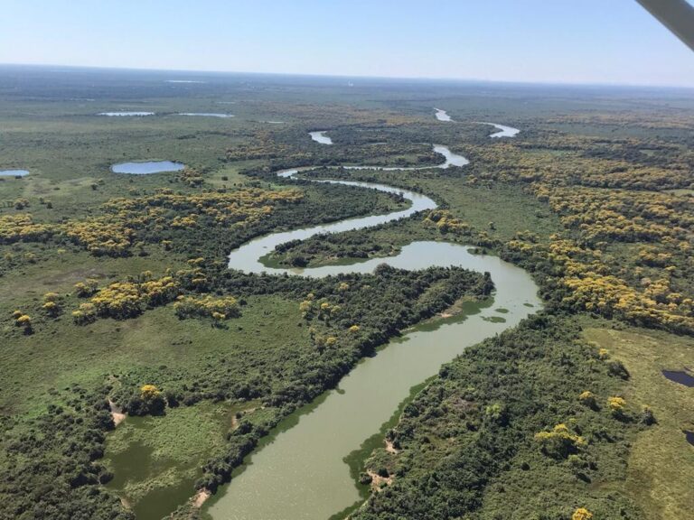 DIA DO PANTANAL – Maior reserva natural privada do Brasil fica em MT