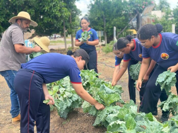 462063a85200e825f238abb2b3f0d0d8