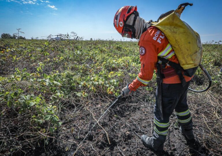 Corpo de Bombeiros combate 5 incêndios florestais nesta quinta-feira (16)