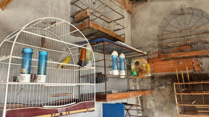 WhatsApp Image 2025-10-29 at 13.11.26