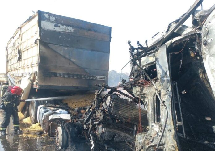 WhatsApp Image 2025-10-29 at 17.19.29